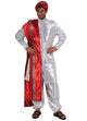 Prince of India Costume - Adult Male