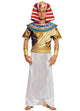 Pharaoh Costume - Adult Male