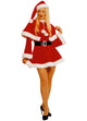 Christmas Mrs. Santa Costume - Adult Woman