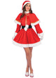 Christmas Fancy Santa Woman Costume - Adult Woman