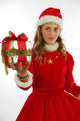 Christmas Santa Girl Costume - Child