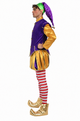 Christmas Purple Elf Costume - Adult Male