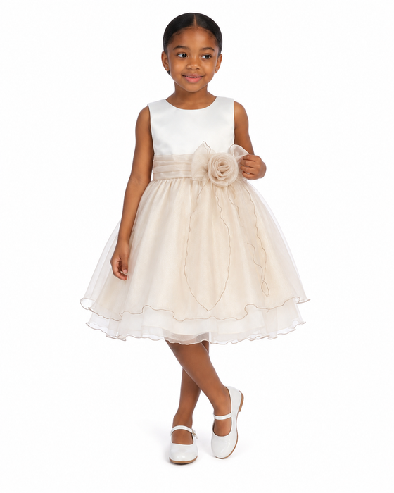 Flower Girl Dress - The Imani Collection (Sizes 6 months - 10)