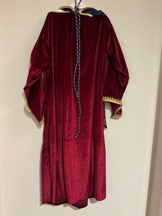 Christmas Virgin Mary Costume Deluxe - Child