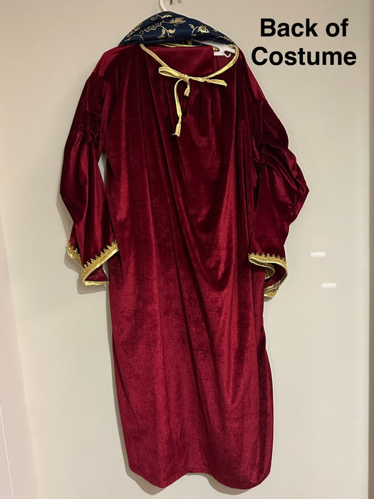 Christmas Virgin Mary Costume Deluxe - Child