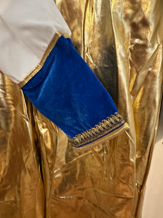 Maharaja Sultan King Costume - Adult Male