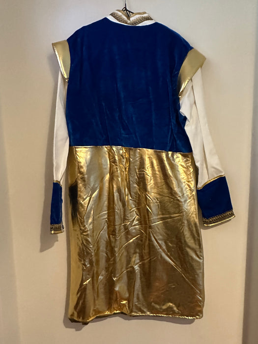 Maharaja Sultan King Costume - Adult Male