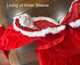 Christmas Mrs. Santa Claus Costume - Adult Woman
