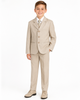 The Darren Collection